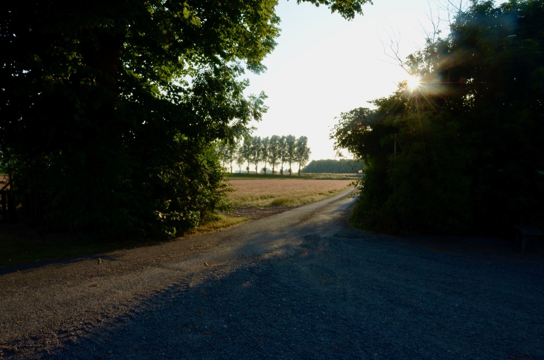Fietsroute over een landweg door de polder