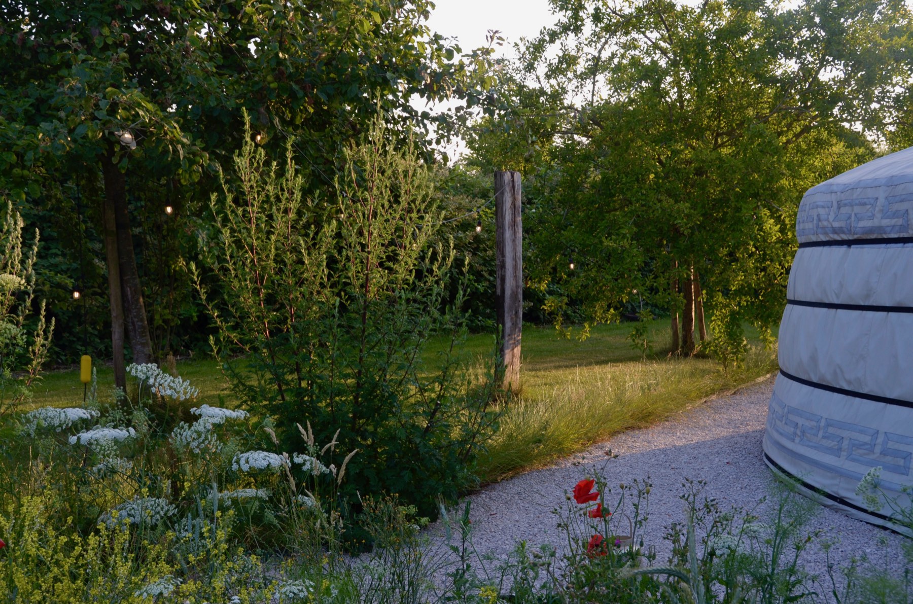 Bloemrijk pad over het terrein